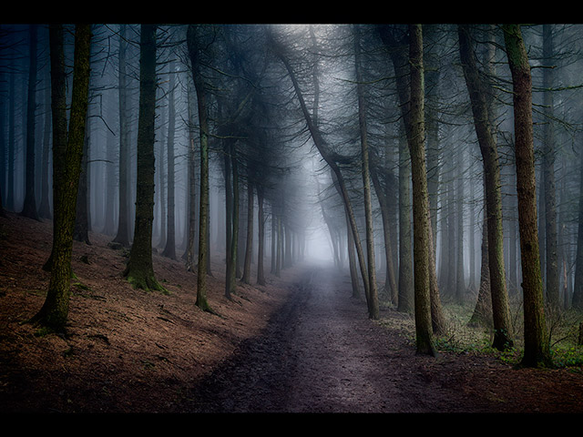 Darkness-descends-in-foggy-Bowland.jpg